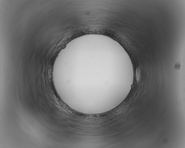 X0000114031107200910021034
