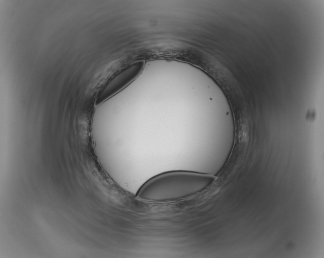 X0000114031108200910021034