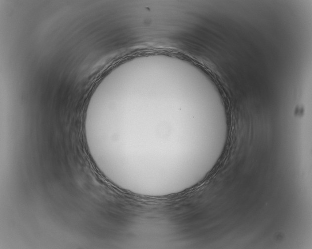 X0000114031110200910021034