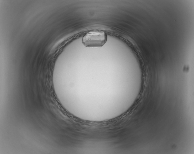 X0000114031112200910021034