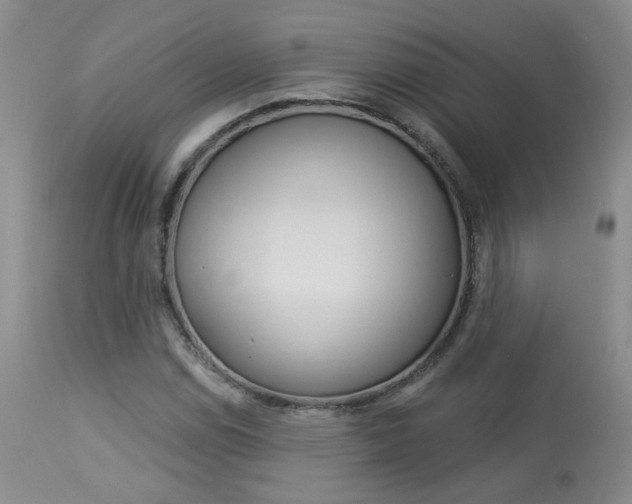 X0000114031114200910021034