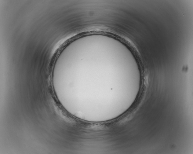 X0000114031117200910021034