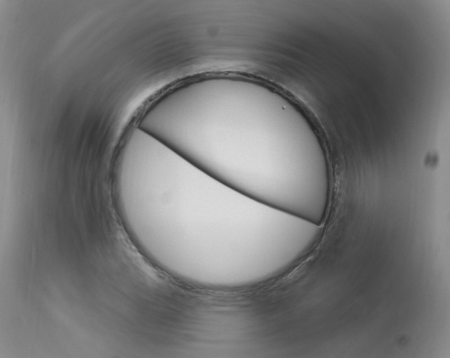 X0000114031119200910021034