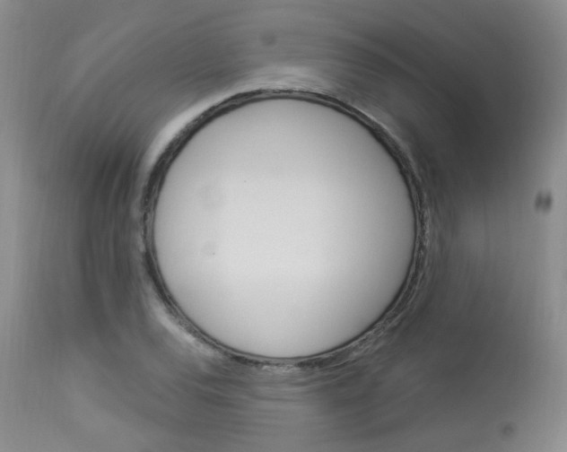 X0000114031120200910021034
