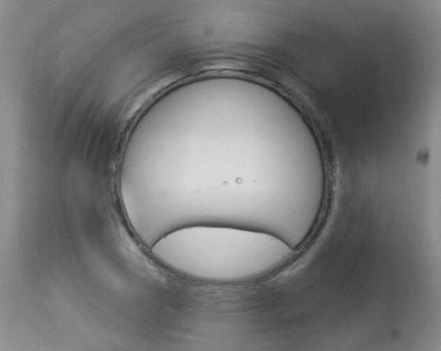 X0000114031121200910021034