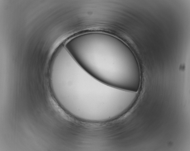 X0000114031122200910021034