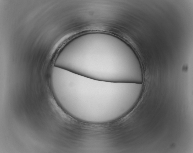 X0000114031123200910021034