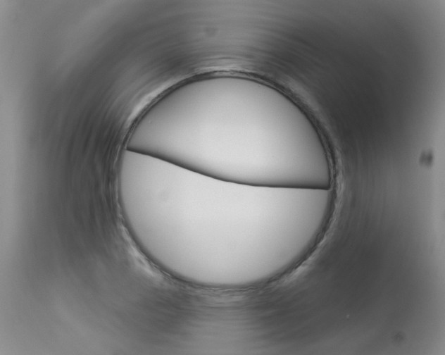 X0000114031129200910021034