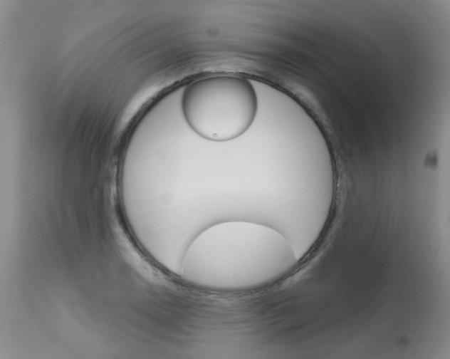 X0000114031130200910021034