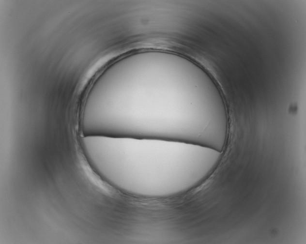 X0000114031131200910021034