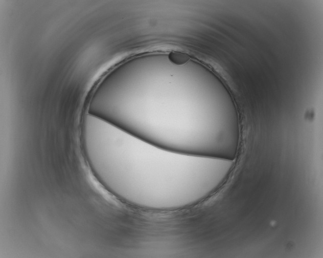 X0000114031134200910021035