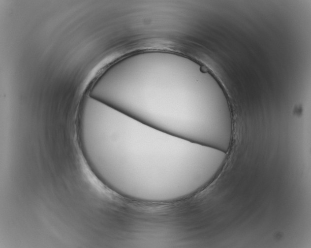 X0000114031139200910021035