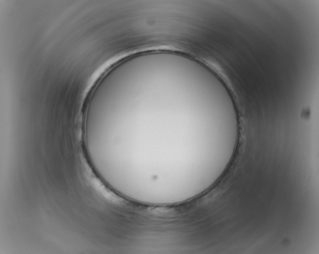 X0000114031140200910021035