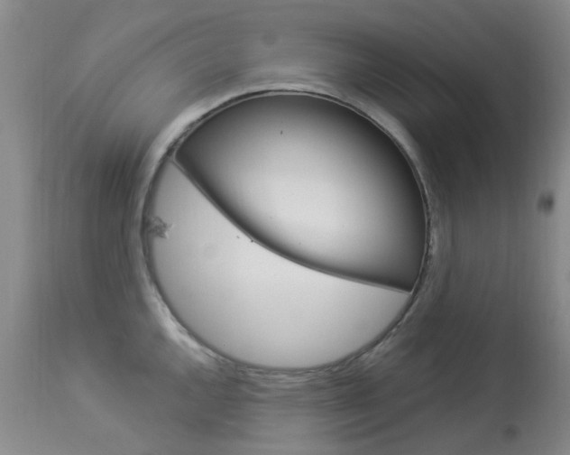 X0000114031144200910021035