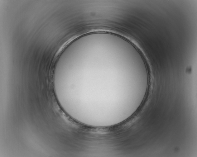 X0000114031145200910021035