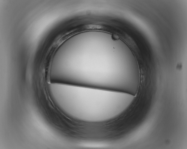 X0000114031151200910021035