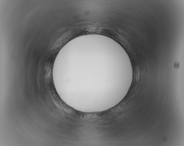 X0000114031154200910021034