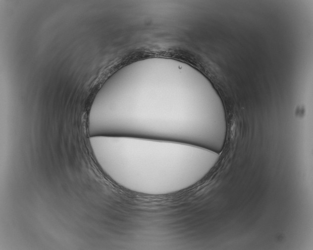 X0000114031156200910021034