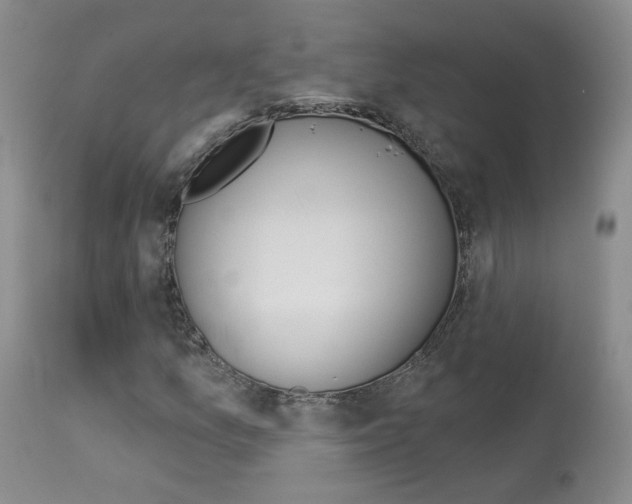 X0000114031157200910021034