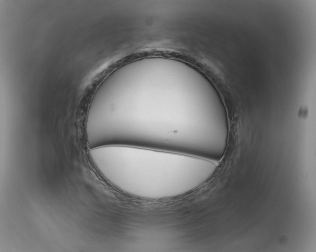X0000114031159200910021034