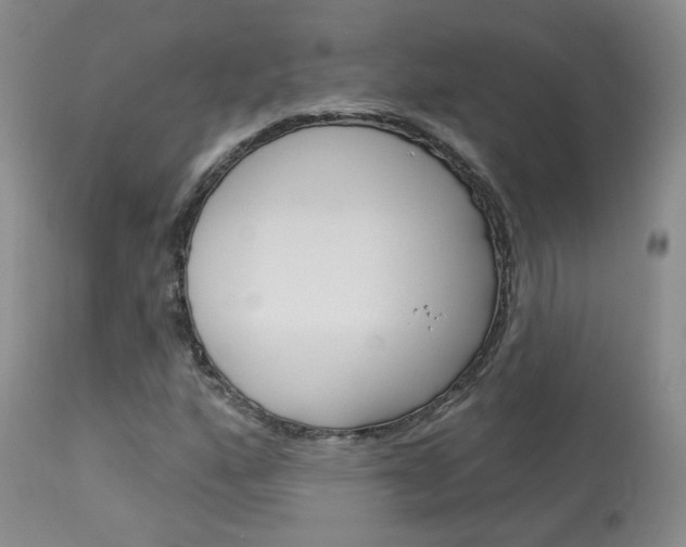 X0000114031160200910021034