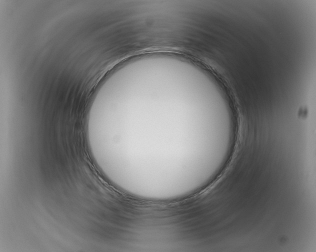 X0000114031161200910021034