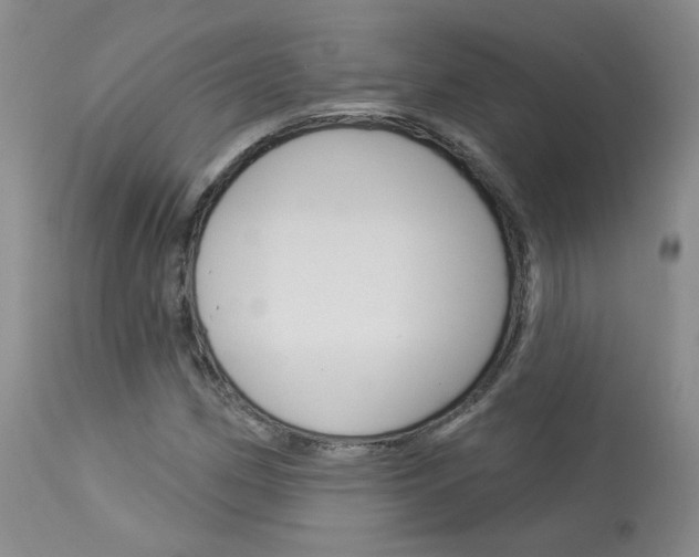 X0000114031162200910021034