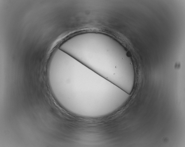 X0000114031168200910021034