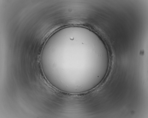 X0000114031169200910021034