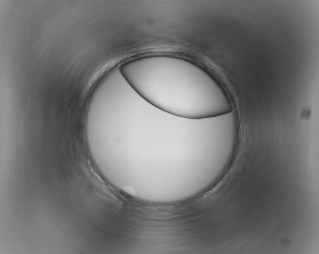 X0000114031171200910021034