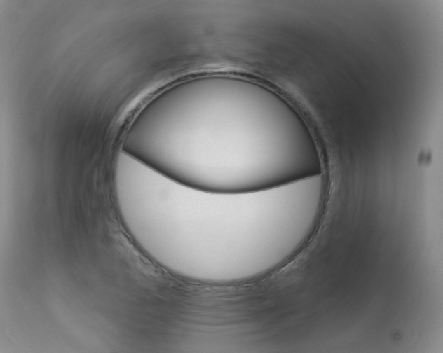 X0000114031173200910021034