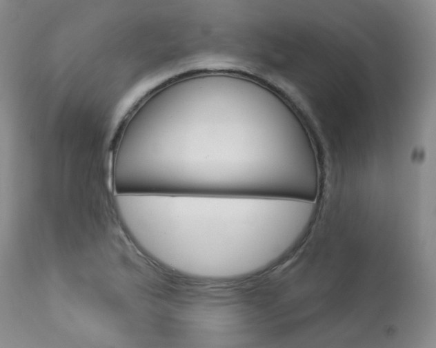 X0000114031175200910021033