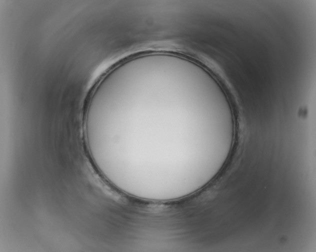 X0000114031176200910021033