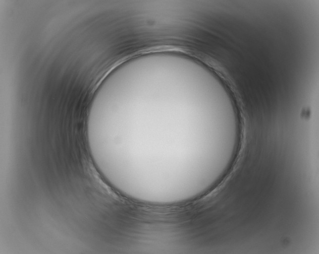 X0000114031177200910021033