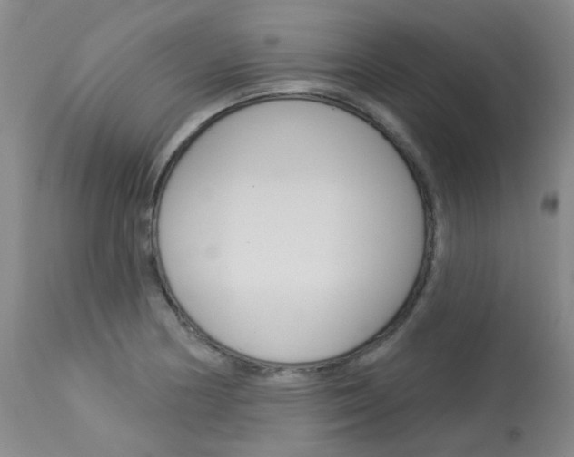 X0000114031178200910021033