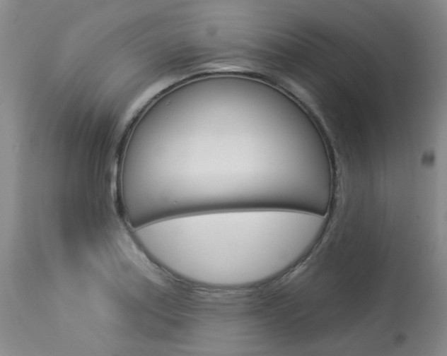 X0000114031179200910021033