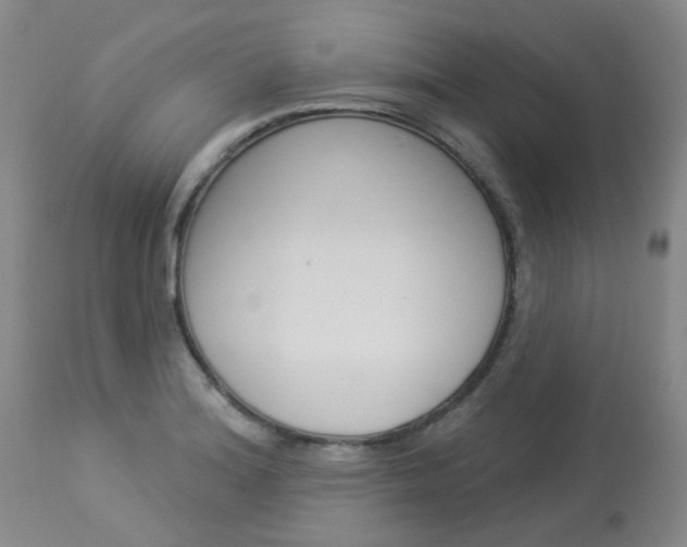 X0000114031180200910021033