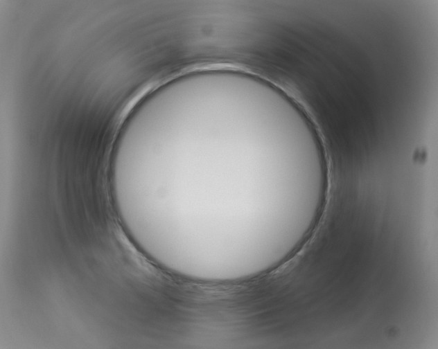 X0000114031181200910021033