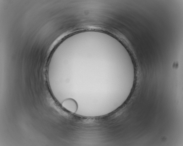 X0000114031182200910021033