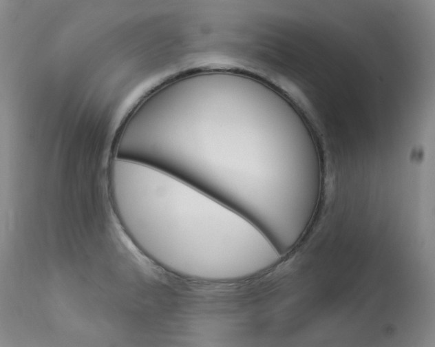 X0000114031183200910021033