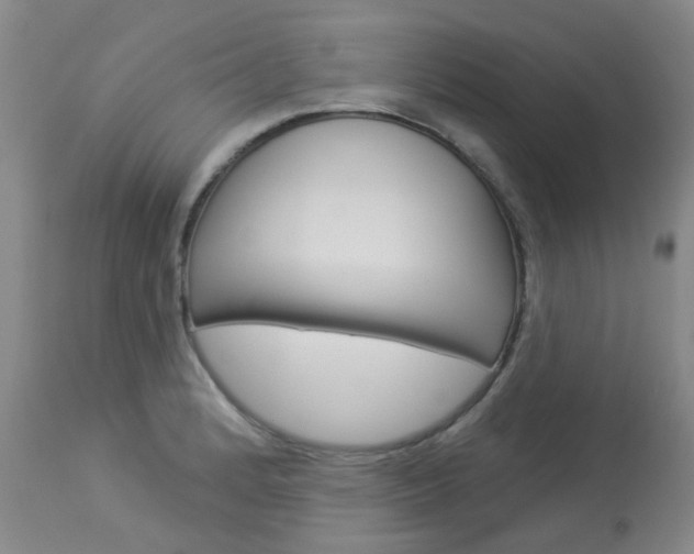 X0000114031184200910021033