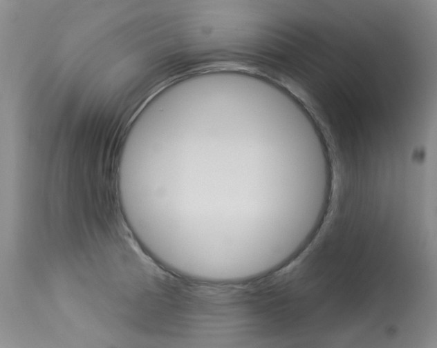 X0000114031185200910021033