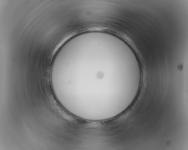 X0000114031186200910021033