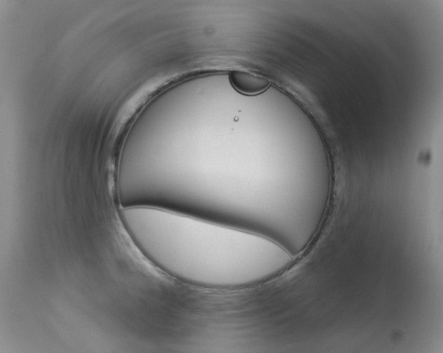 X0000114031188200910021033