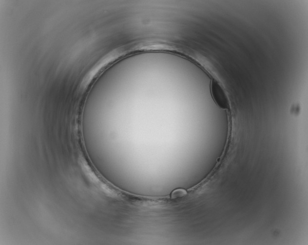 X0000114031189200910021033