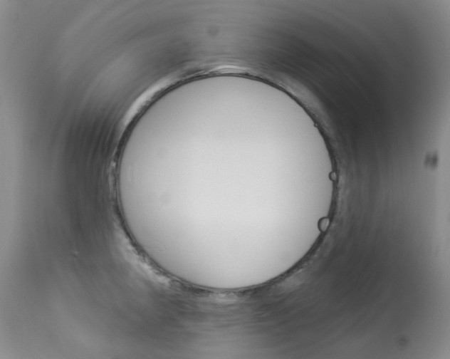 X0000114031190200910021033