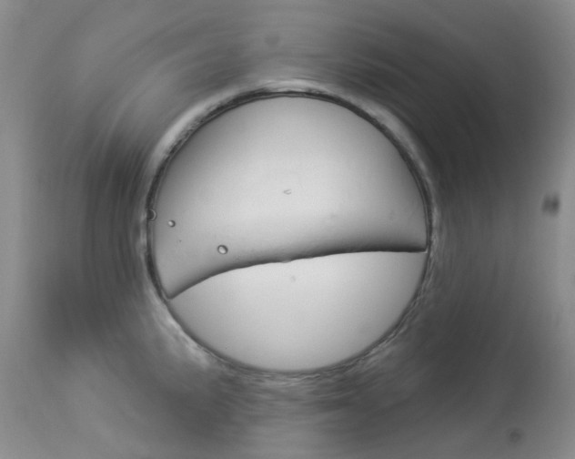 X0000114031191200910021033