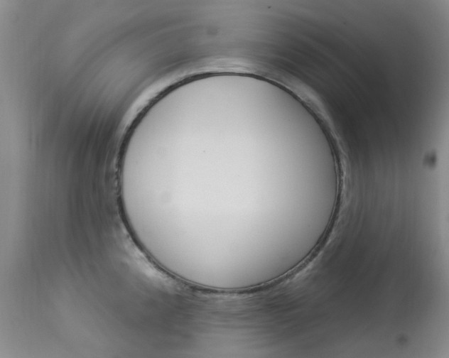 X0000114031192200910021033