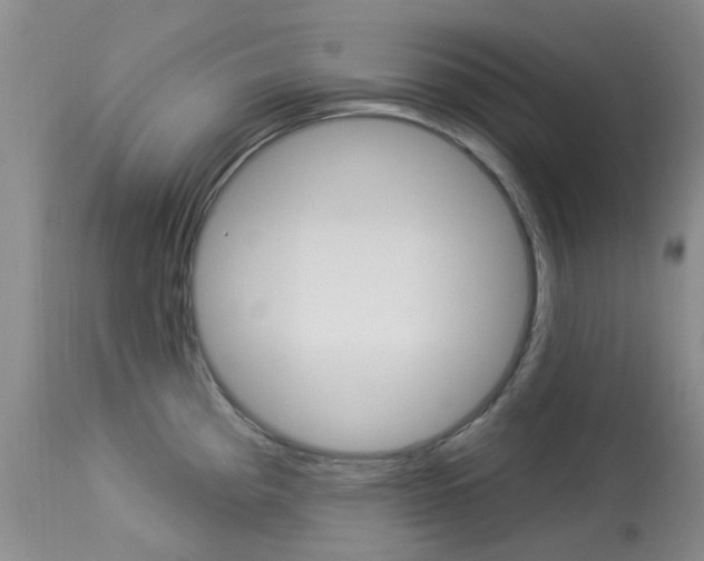 X0000114031193200910021033