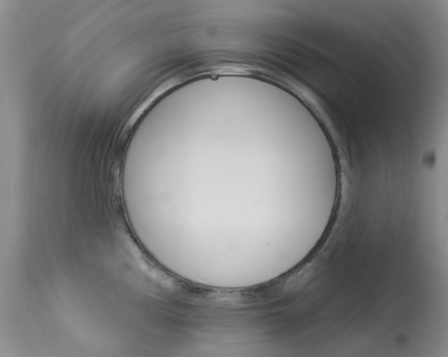 X0000114031194200910021033